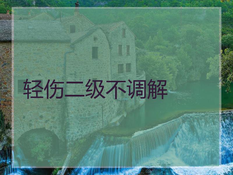 轻伤二级不调解