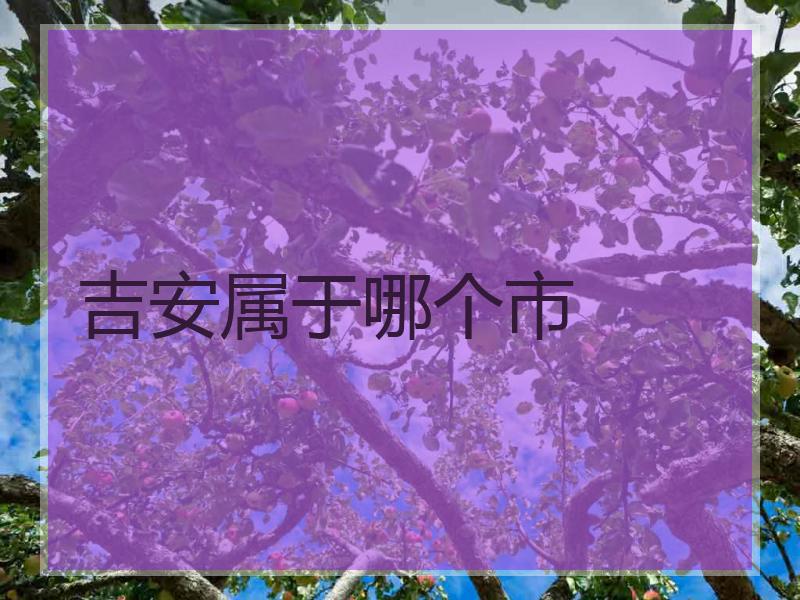 吉安属于哪个市