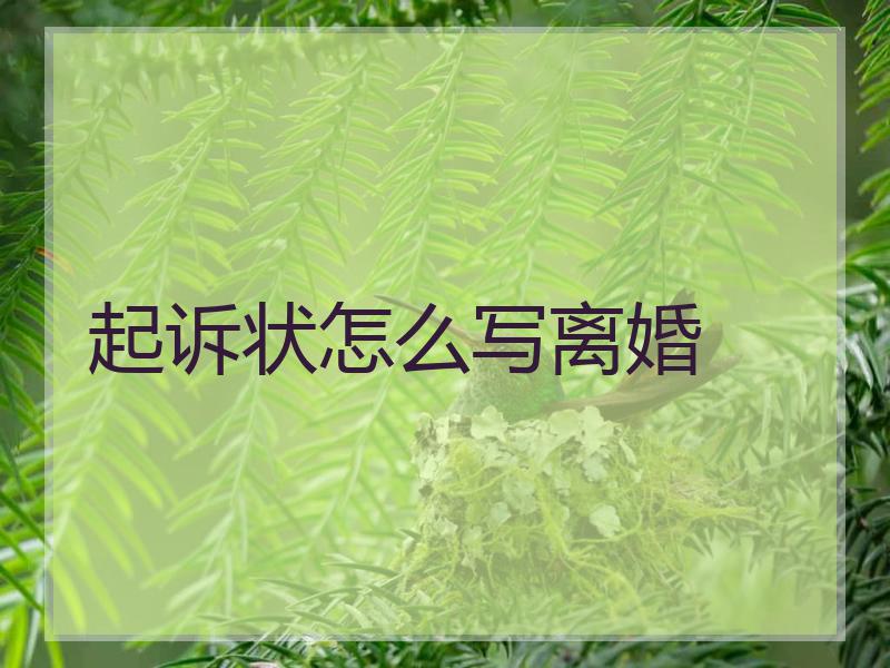 起诉状怎么写离婚