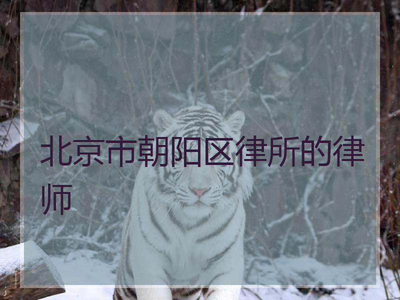 北京市朝阳区律所的律师