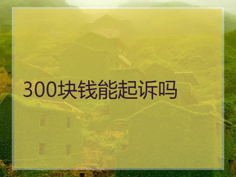 300块钱能起诉吗