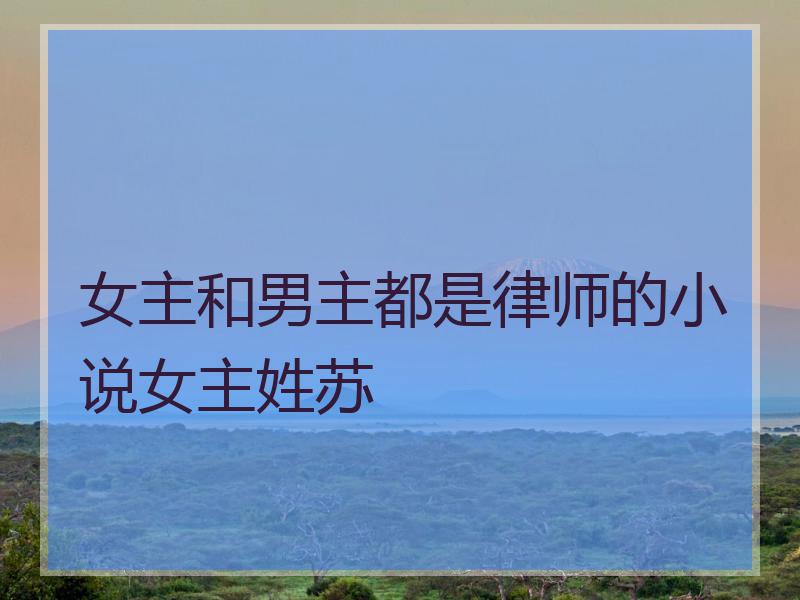 女主和男主都是律师的小说女主姓苏