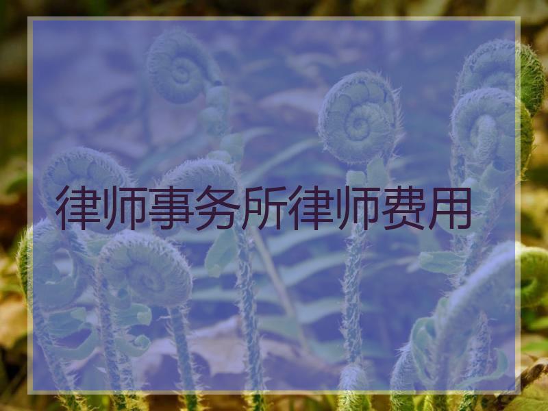 律师事务所律师费用