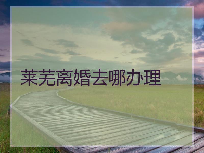 莱芜离婚去哪办理