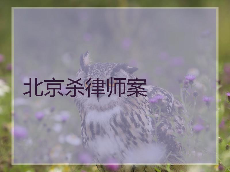 北京杀律师案