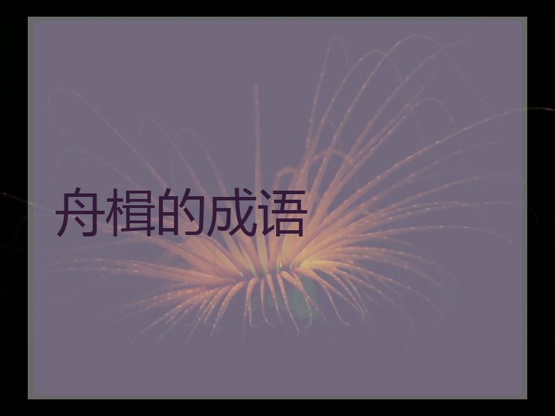 舟楫的成语