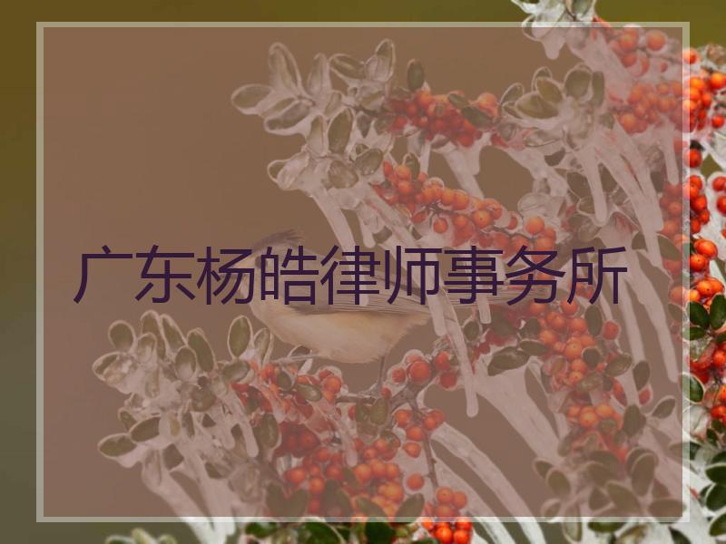 广东杨皓律师事务所