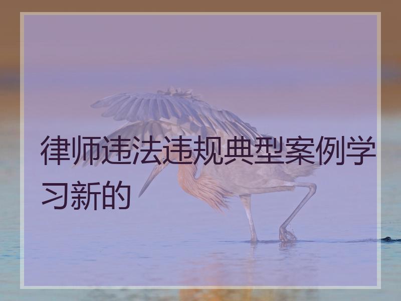 律师违法违规典型案例学习新的