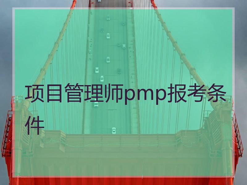 项目管理师pmp报考条件