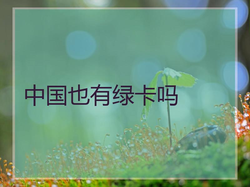 中国也有绿卡吗