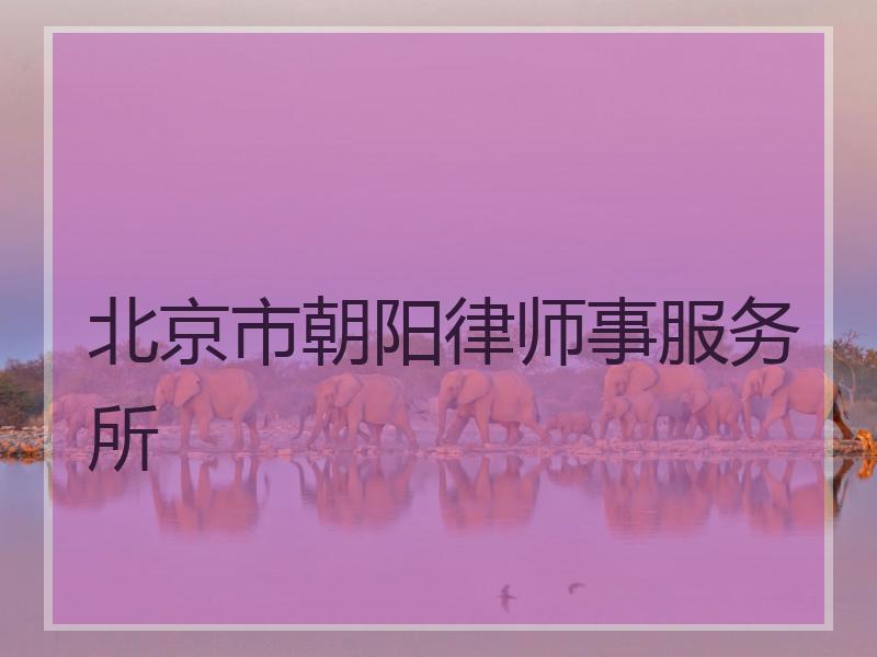 北京市朝阳律师事服务所