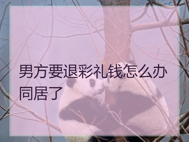男方要退彩礼钱怎么办同居了