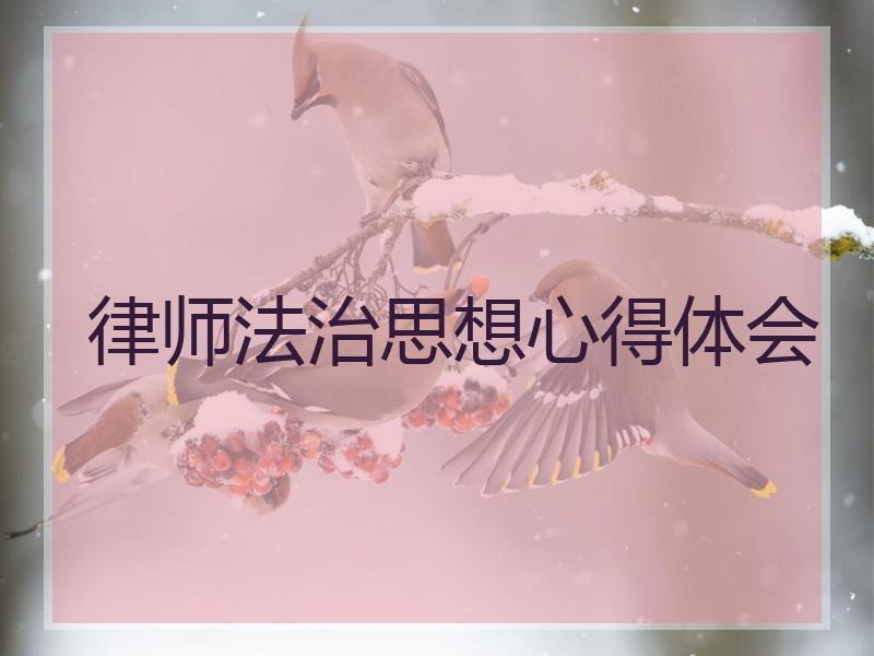 律师法治思想心得体会