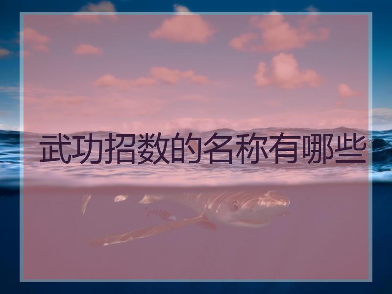 武功招数的名称有哪些