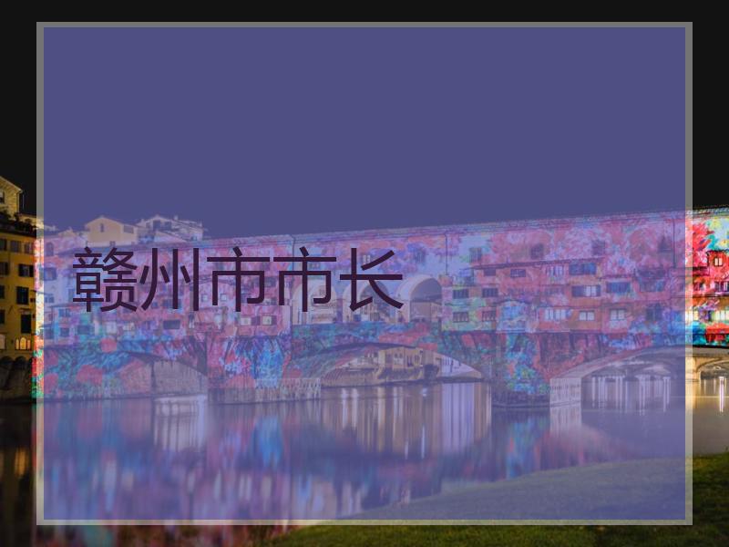 赣州市市长