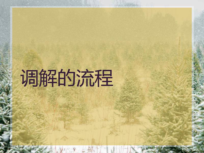 调解的流程