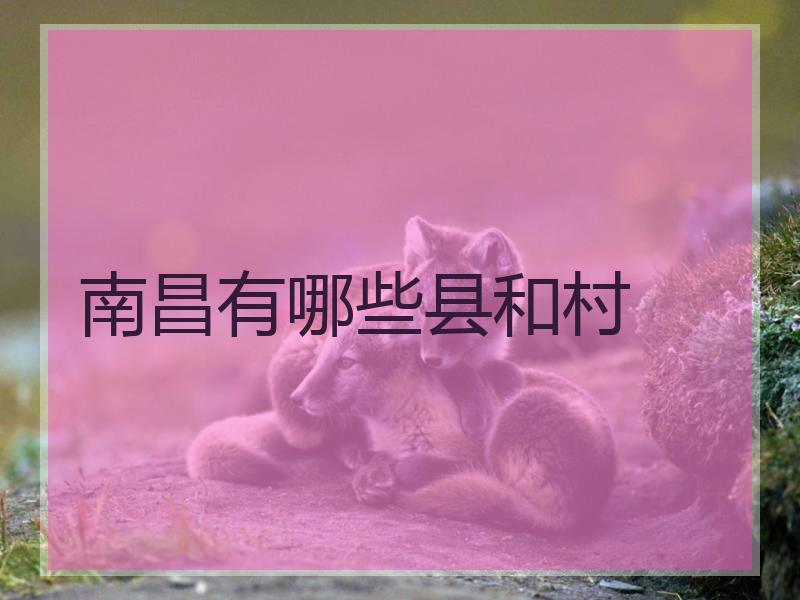 南昌有哪些县和村