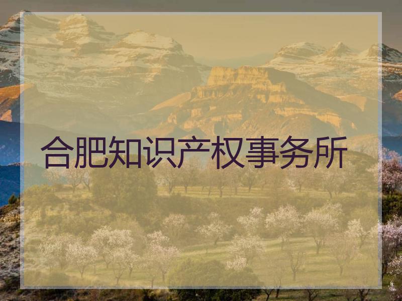 合肥知识产权事务所