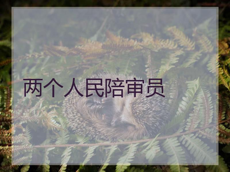 两个人民陪审员