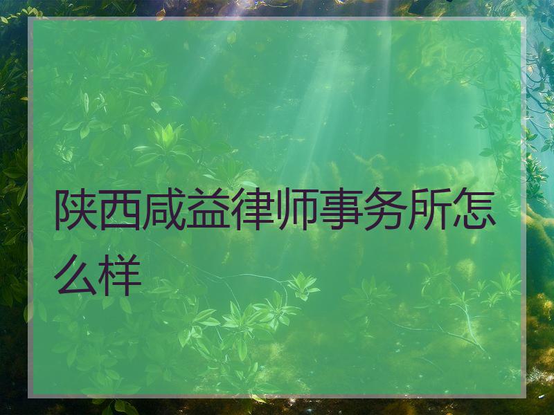 陕西咸益律师事务所怎么样