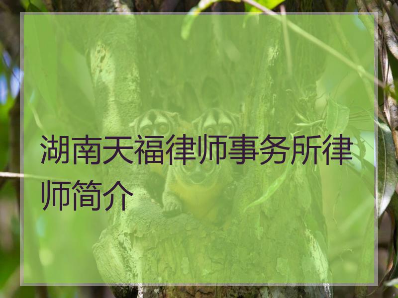 湖南天福律师事务所律师简介