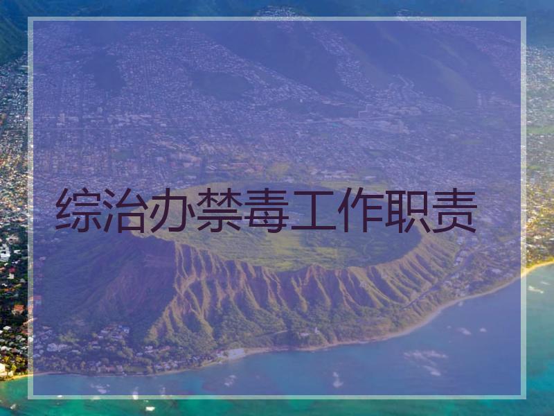 综治办禁毒工作职责