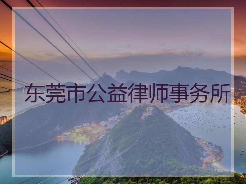 东莞市公益律师事务所