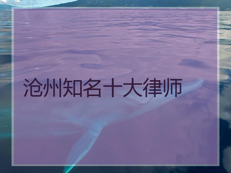 沧州知名十大律师