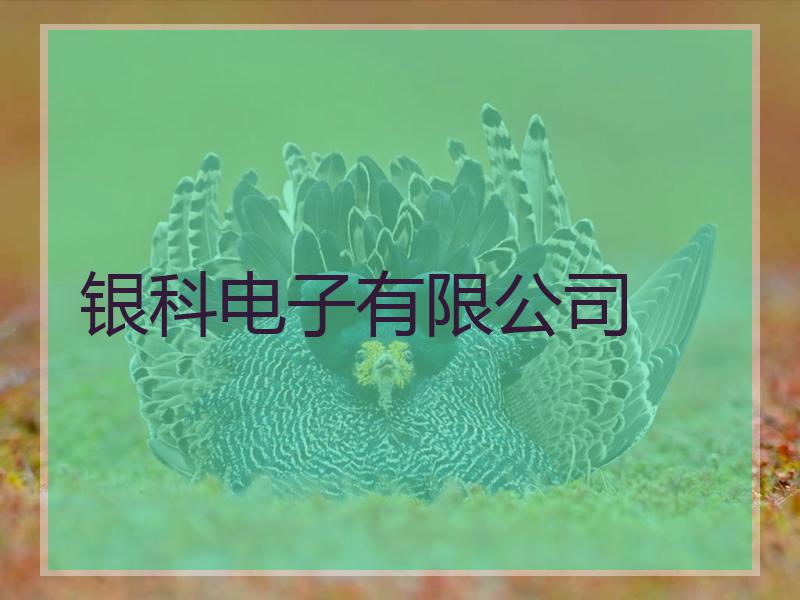 银科电子有限公司