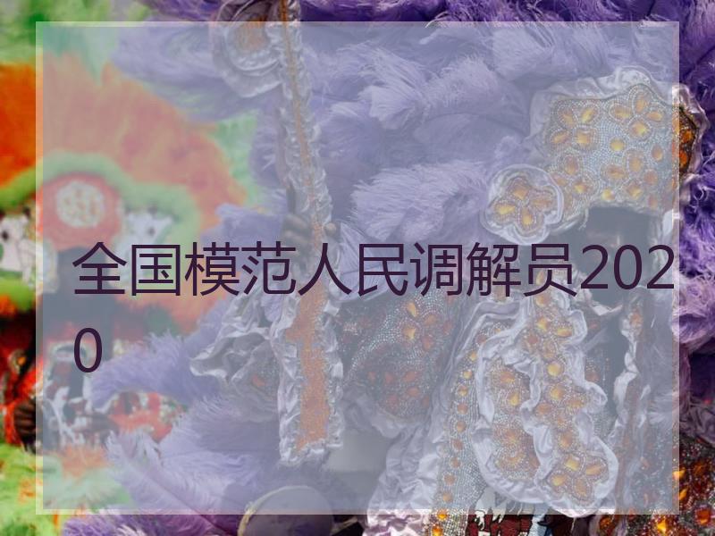 全国模范人民调解员2020