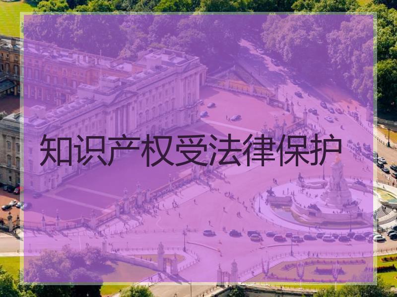 知识产权受法律保护
