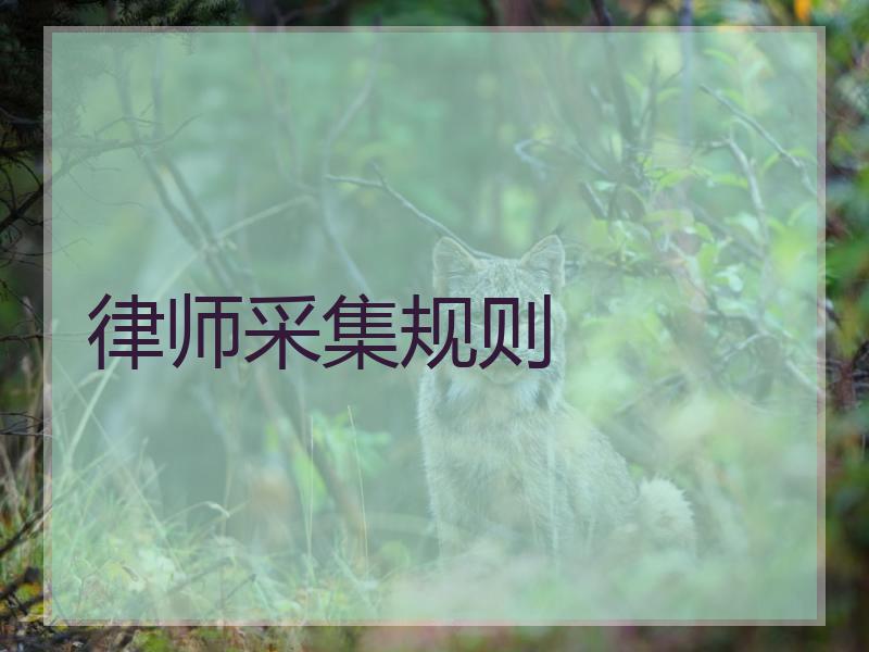 律师采集规则
