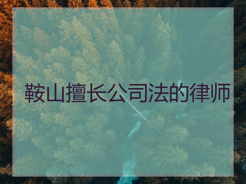 鞍山擅长公的律师