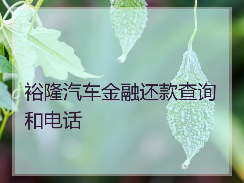 裕隆汽车金融还款查询和电话