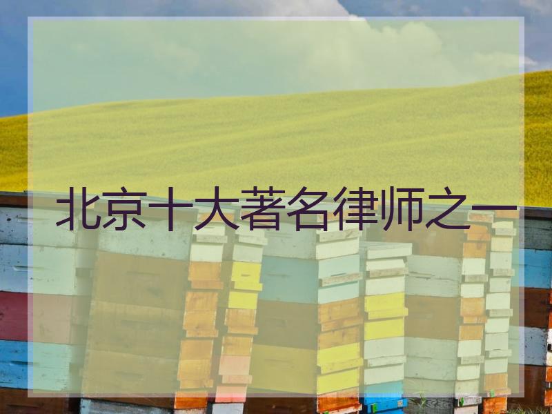 北京十大著名律师之一