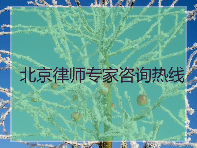 北京律师专家咨询热线