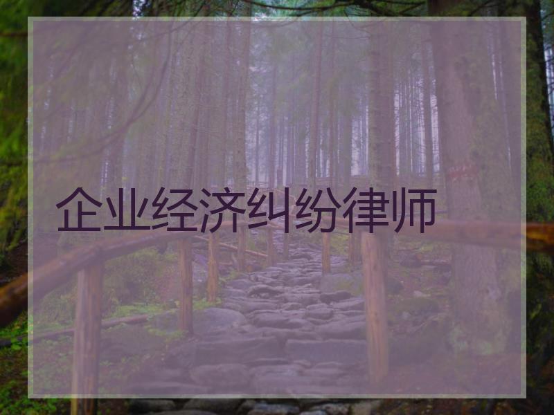 企业经济纠纷律师