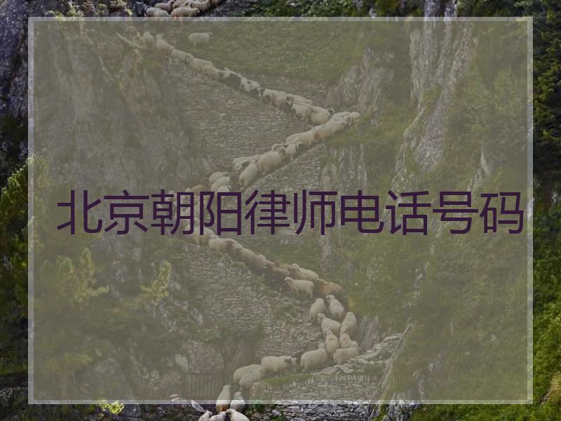 北京朝阳律师电话号码