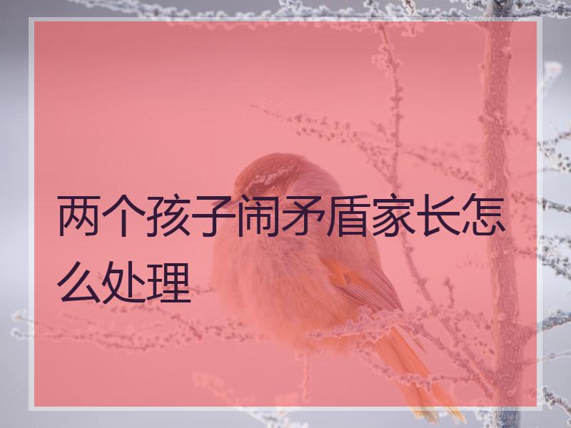两个孩子闹矛盾家长怎么处理