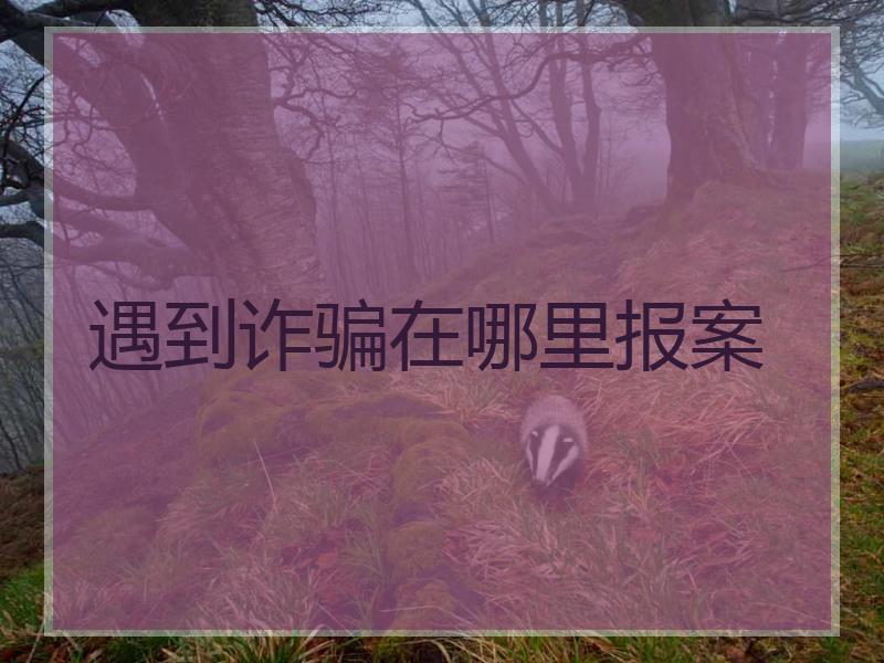 遇到诈骗在哪里报案