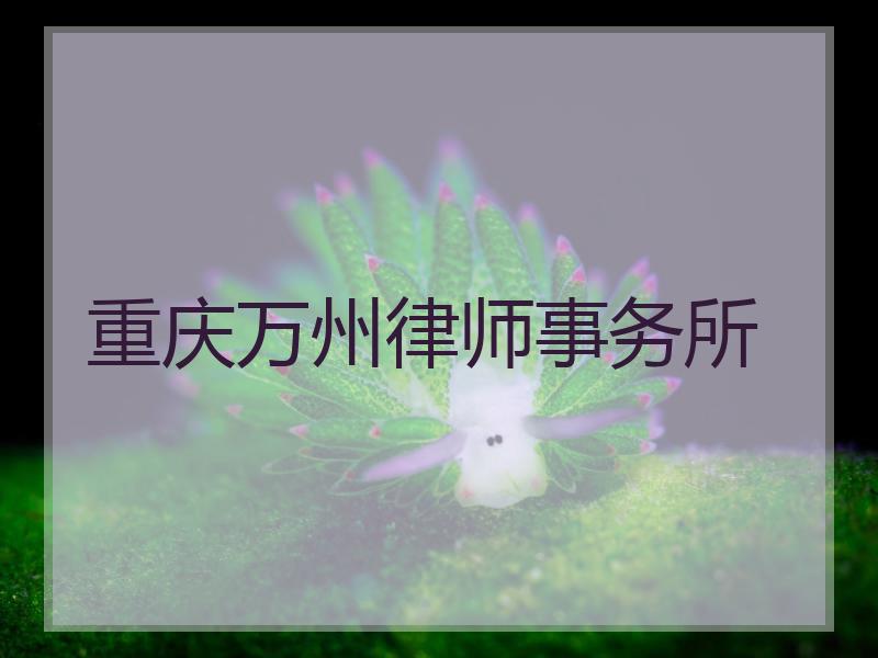 重庆万州律师事务所