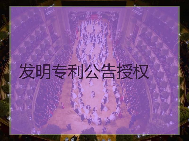 发明专利公告授权