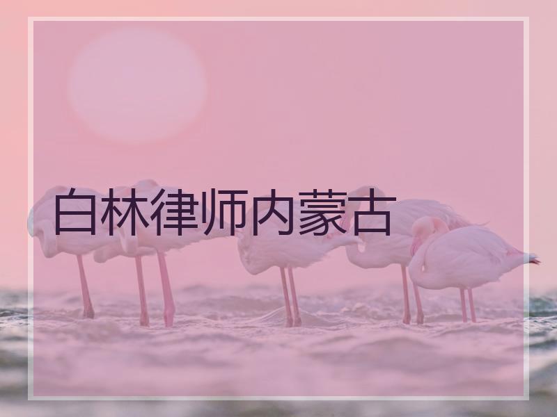 白林律师内蒙古