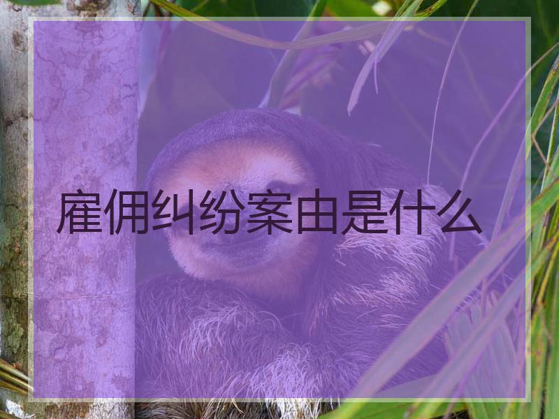 雇佣纠纷案由是什么