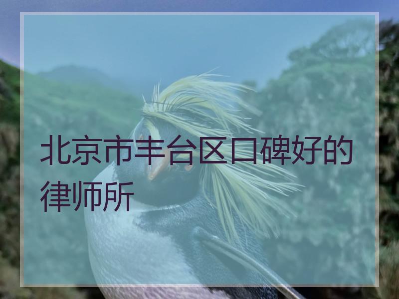 北京市丰台区口碑好的律师所