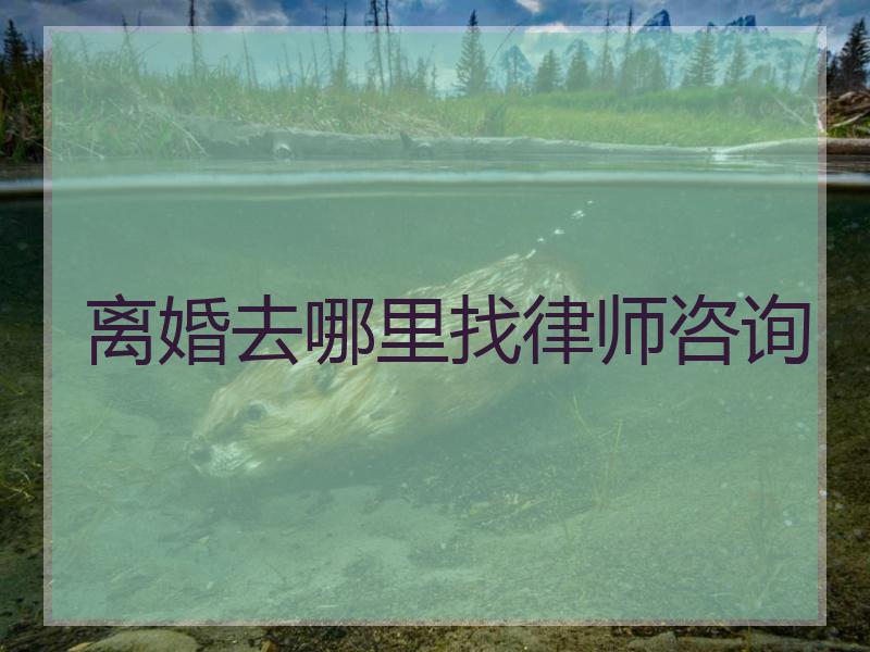 离婚去哪里找律师咨询