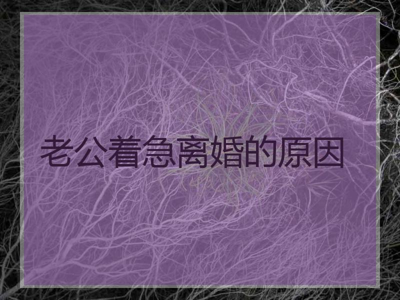 老公着急离婚的原因