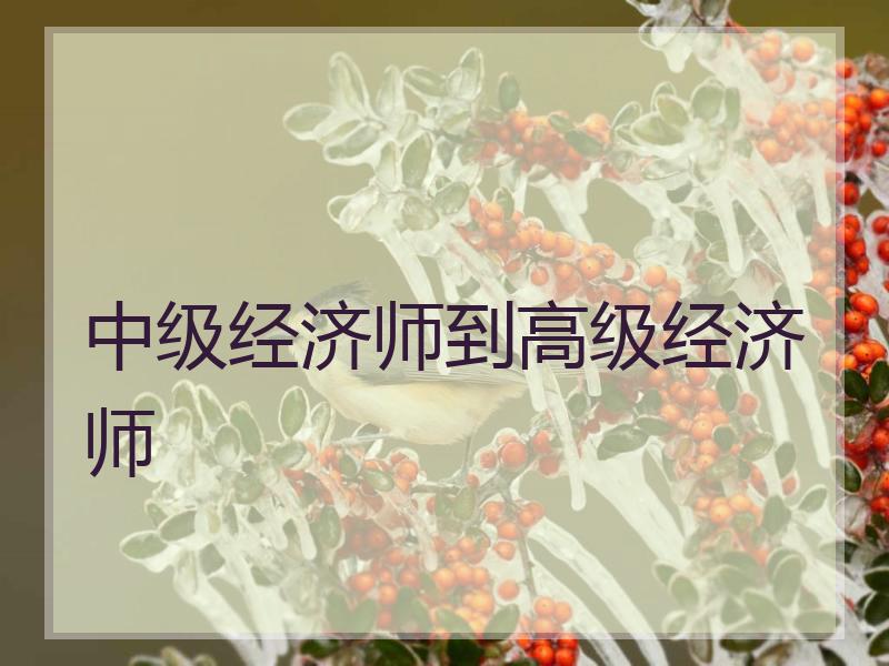 中级经济师到高级经济师