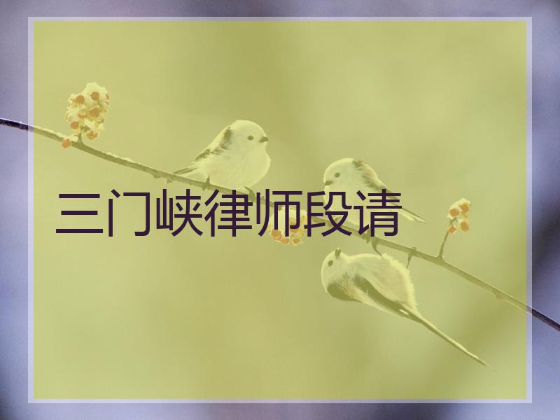 三门峡律师段请