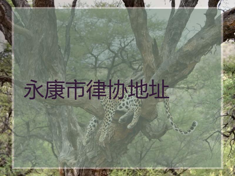 永康市律协地址
